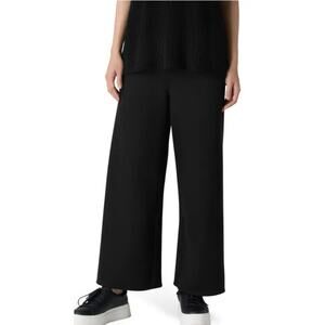 Eileen Fisher Silk Wide Leg Pants Black L Minimalist Quiet Artsy Luxury Draped